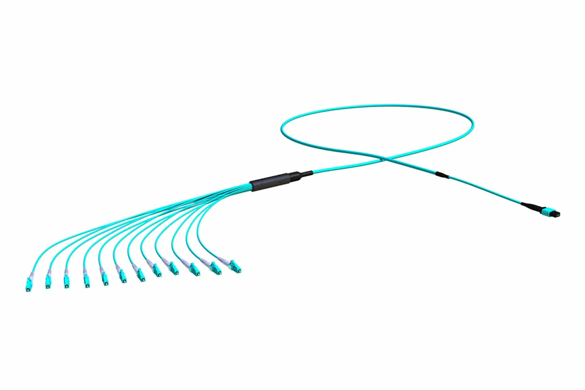 Owire MPO/MTP Fan-out Assembly