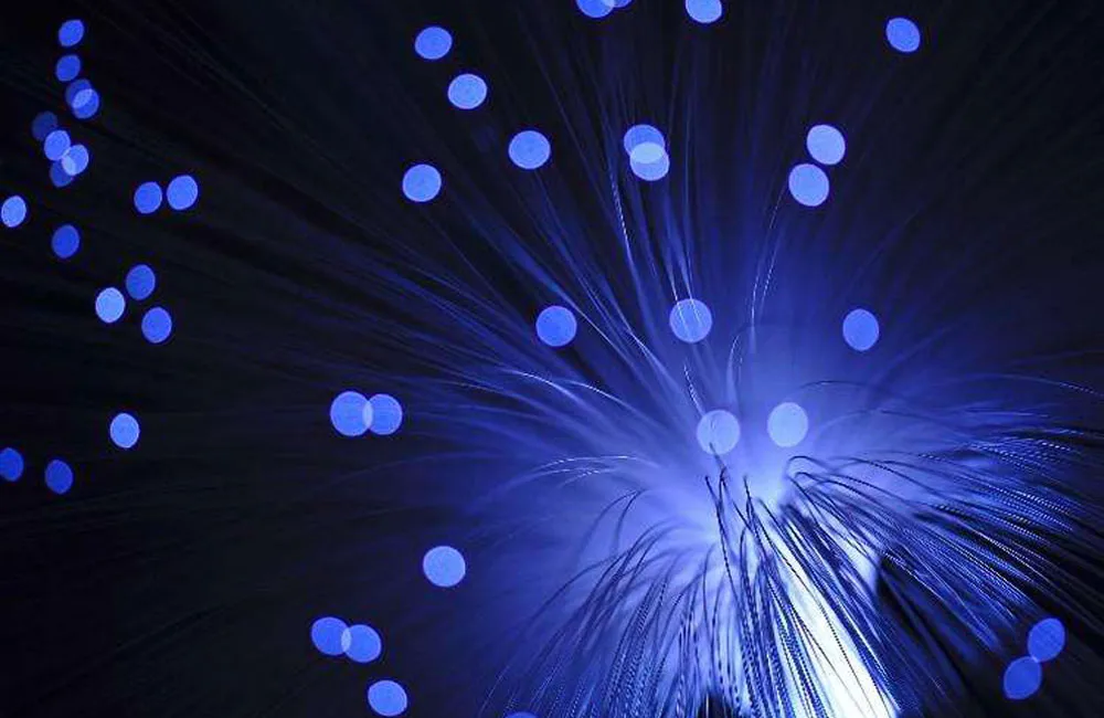 How will the future fiber develop? Where does the net manufacturer go?