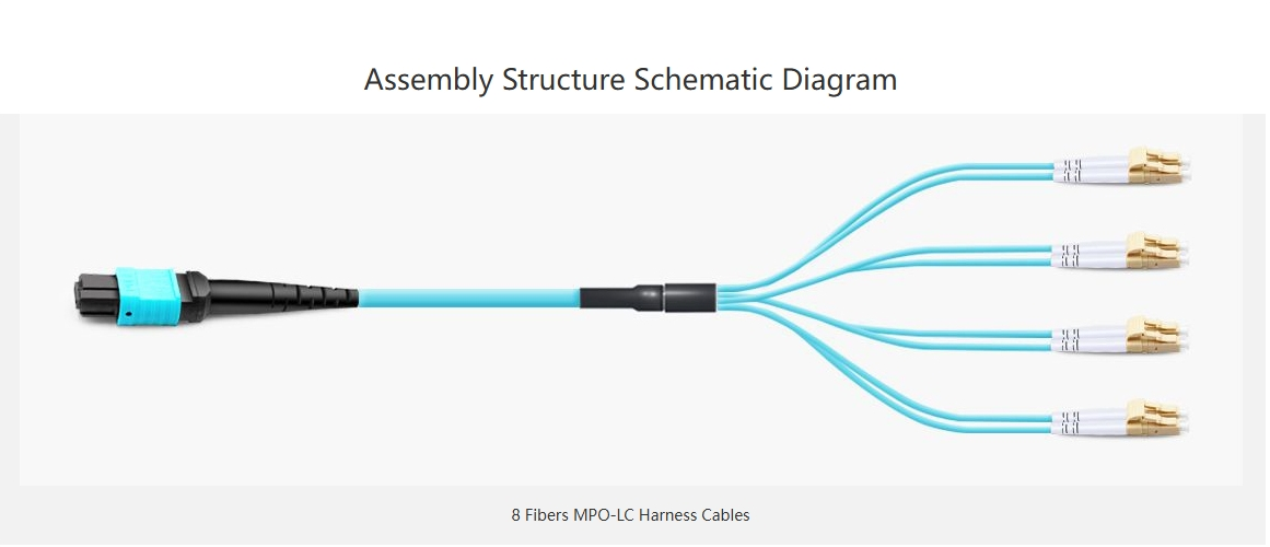 MTP MPO Harness Fiber Breakout Cable, MTP MPO UPC (Female) to 4 LC UPC Duplex 8 Fibers Multimode (OM4) Type B Magenta