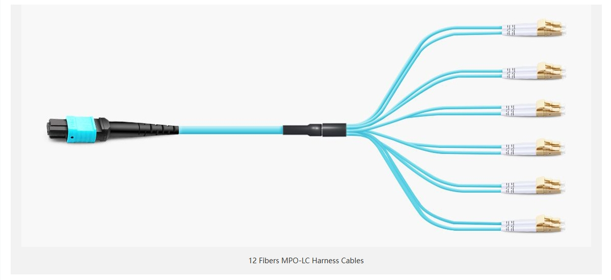 MTP MPO Harness Fiber Breakout Cable, MTP MPO UPC (Female) to 4 LC UPC Duplex 8 Fibers Multimode (OM4) Type B Magenta