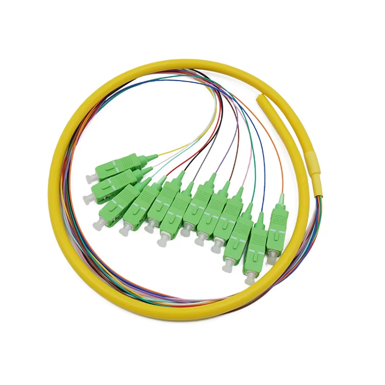 12 core SC/APC single mode Fiber pigtail
