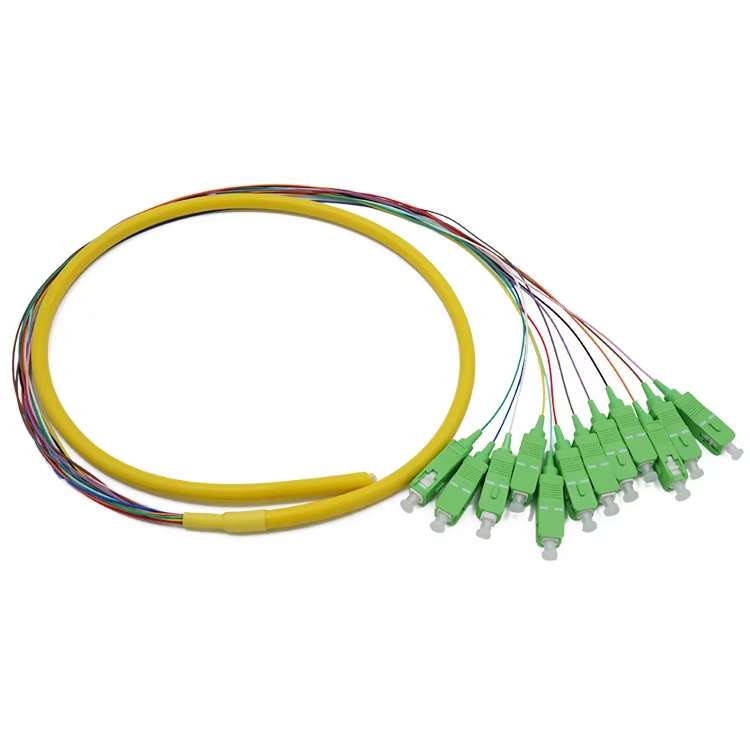 12 core SC/APC single mode Fiber pigtail